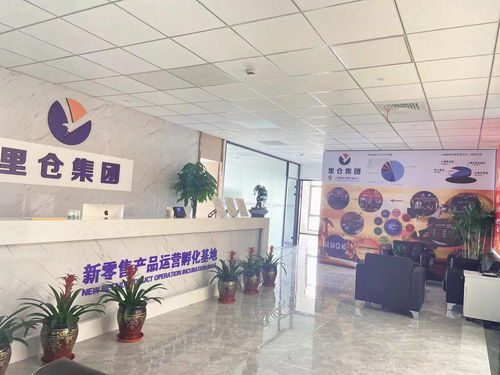 一站式投服行業(yè)服務(wù) 上海里倉(cāng)科技集團(tuán)的信息技術(shù)咨詢服務(wù)解析